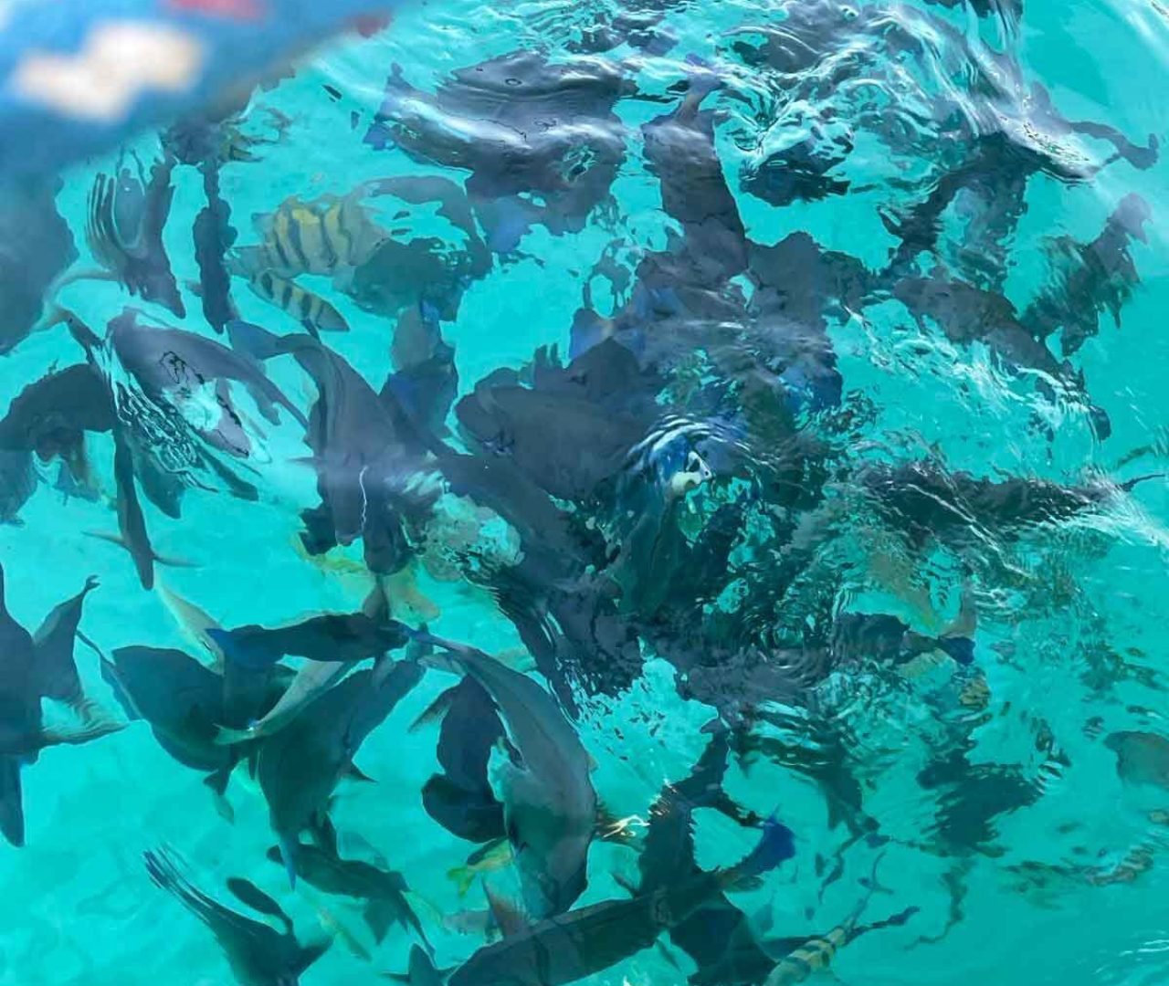 Foto_wetenschap_natuur